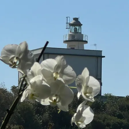 L'orchidea Del Faro Apartament