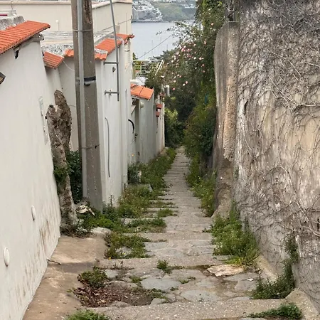 Apartament L'orchidea Del Faro
