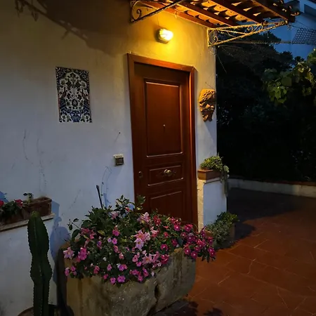 L'orchidea Del Faro *