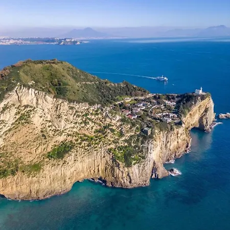 L'orchidea Del Faro