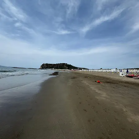 L'orchidea Del Faro Miseno